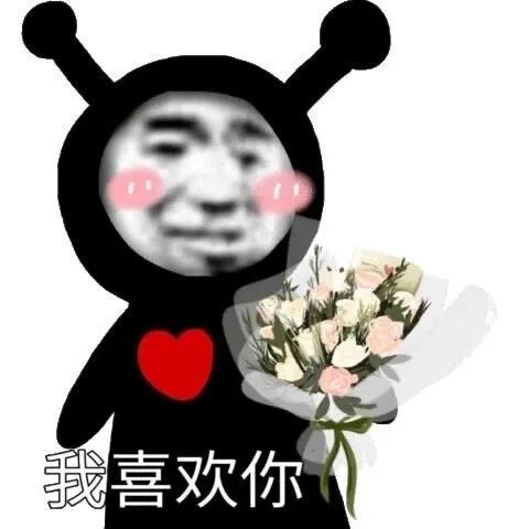 [图片]