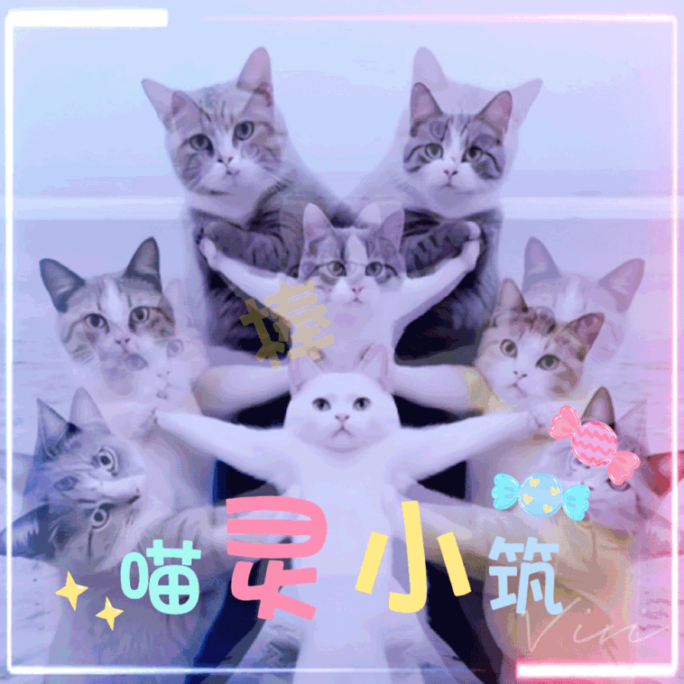 [图片]