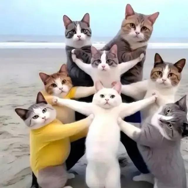 [图片]