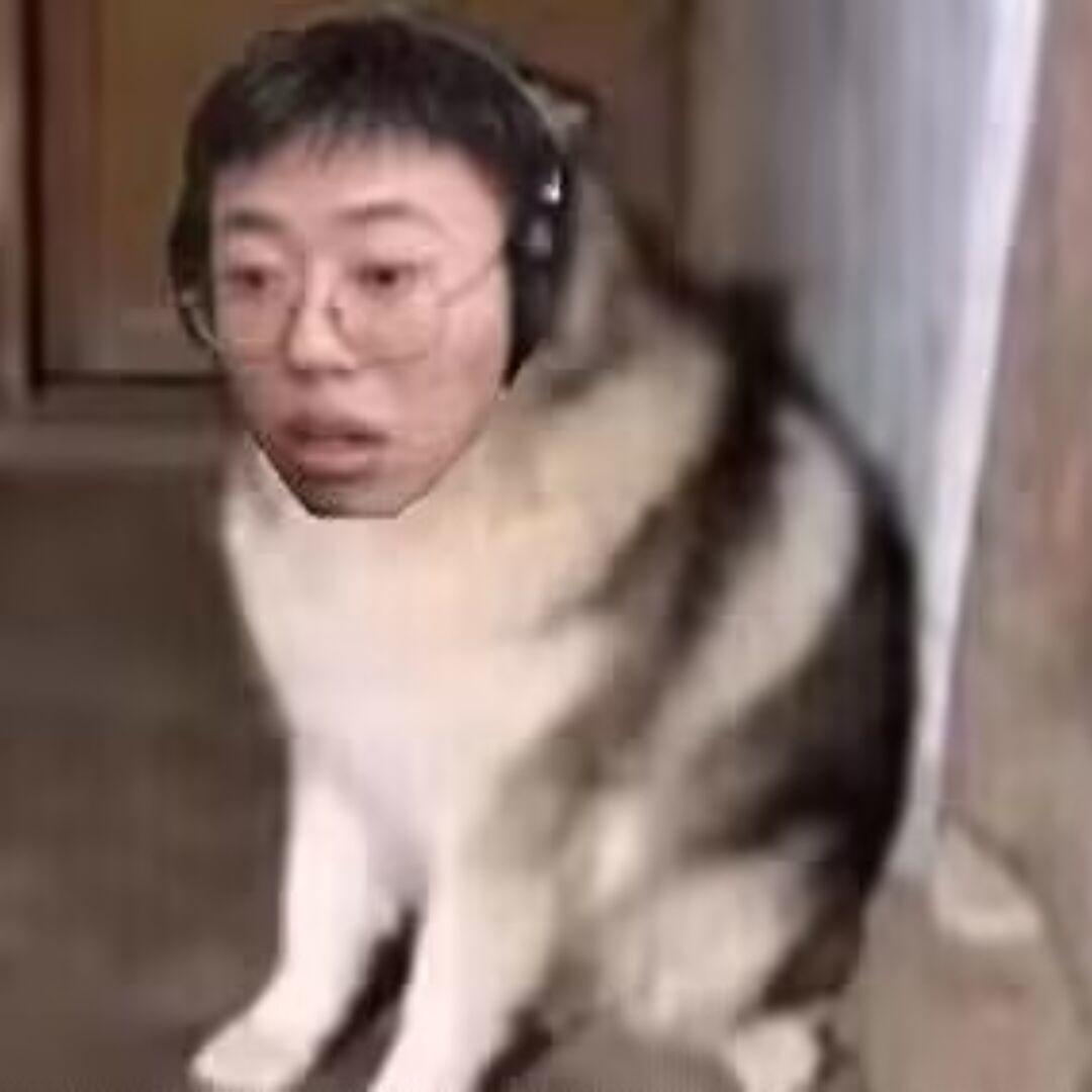 [图片]