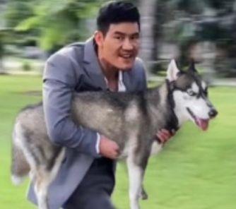 [图片]