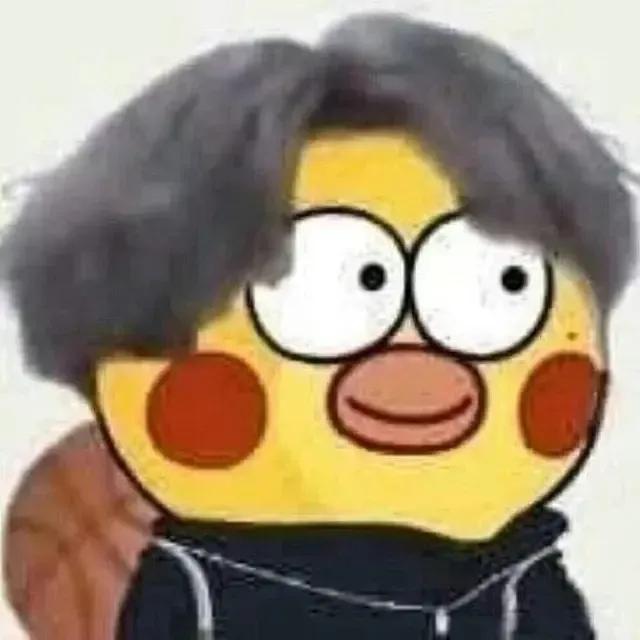 [图片]