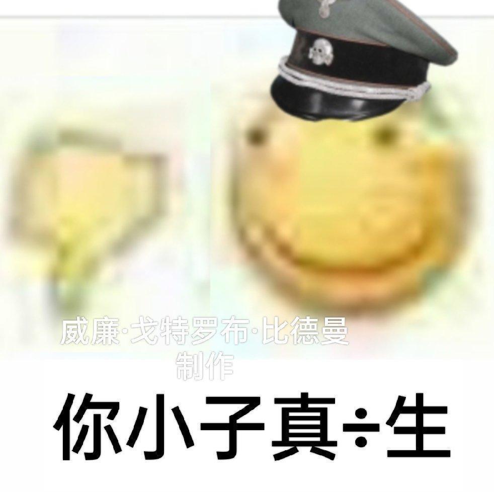 [图片]