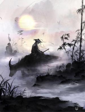[图片]