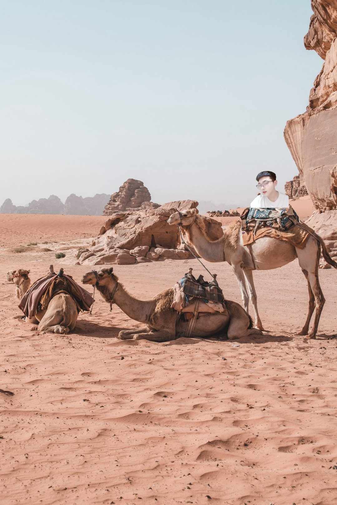 [图片]