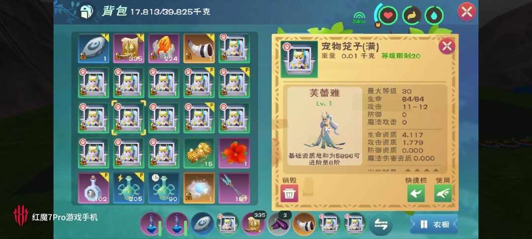 [图片]
