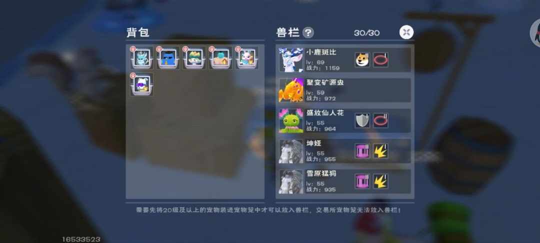 [图片]