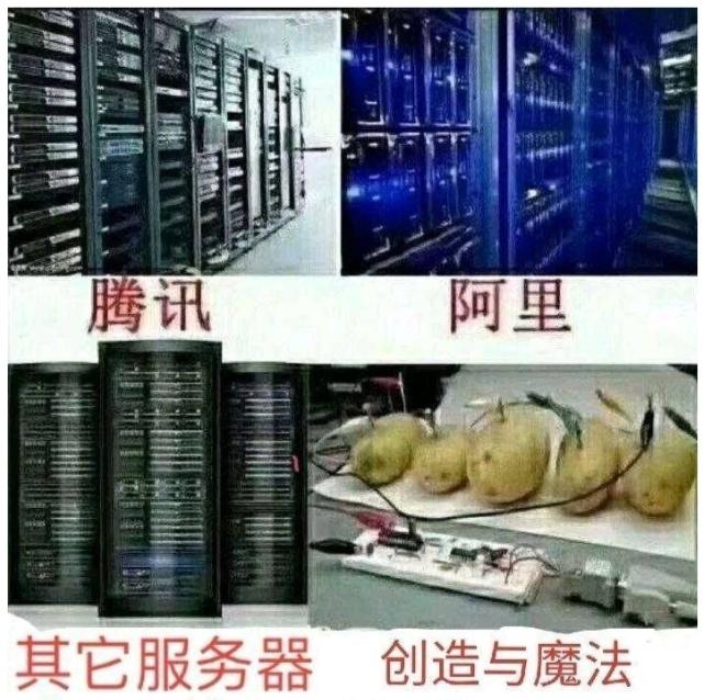 [图片]