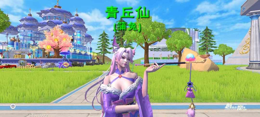 [图片]