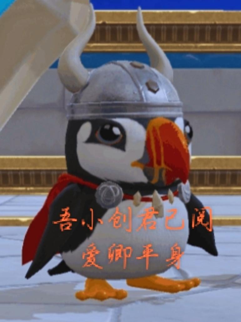[图片]