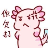 [图片]