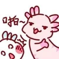 [图片]