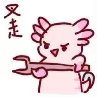 [图片]