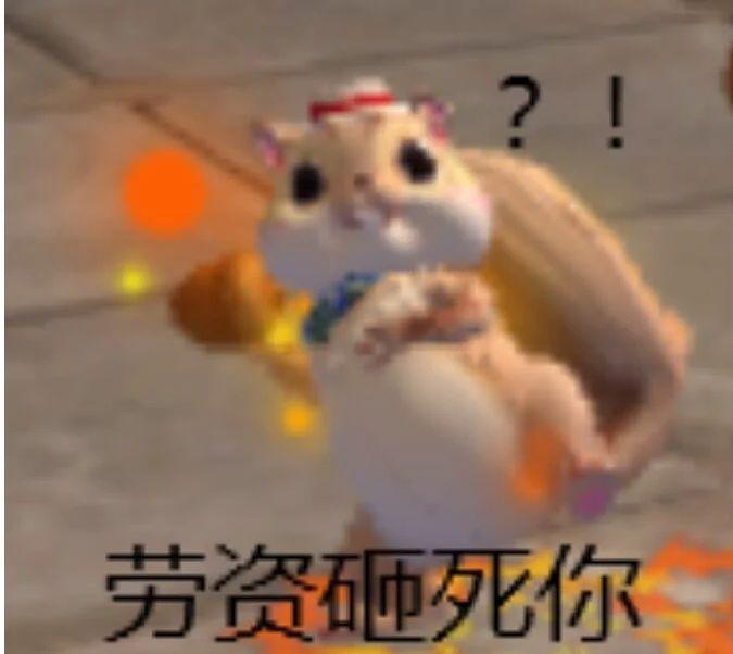 [图片]