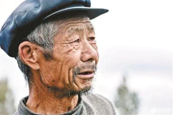 [图片]