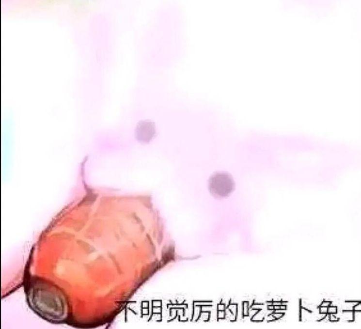 [图片]