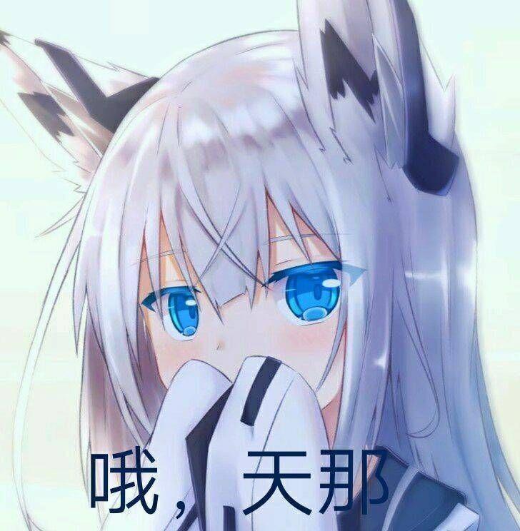 [图片]