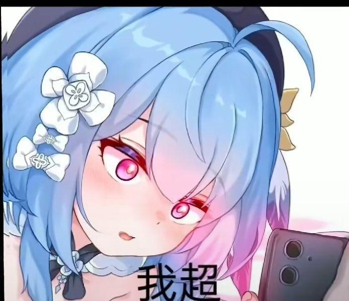 [图片]