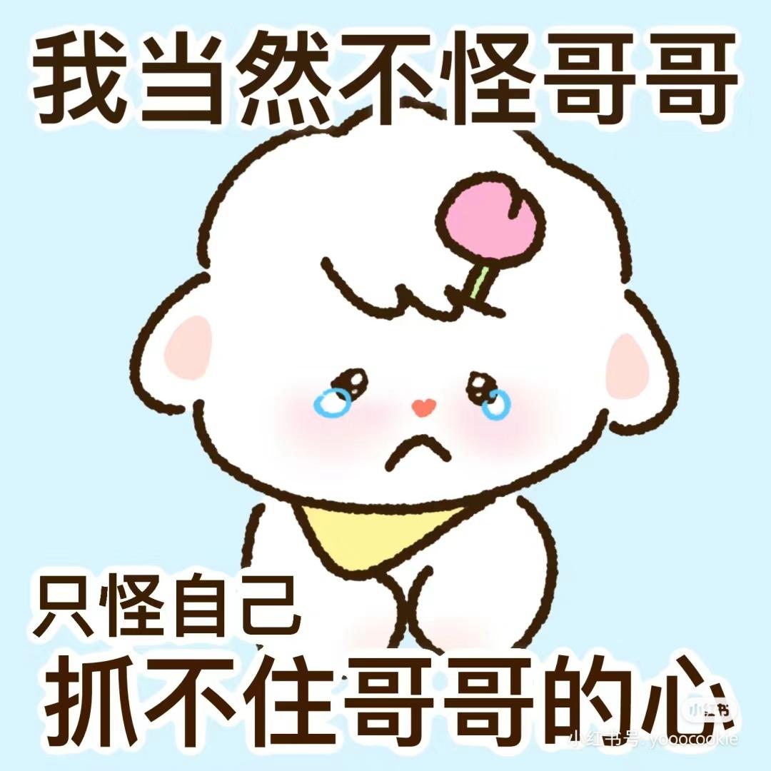 [图片]
