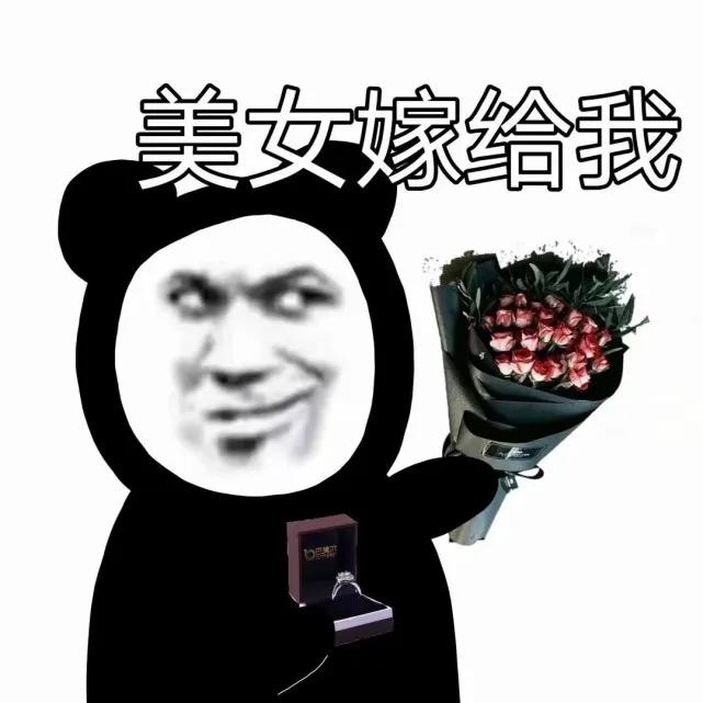 [图片]