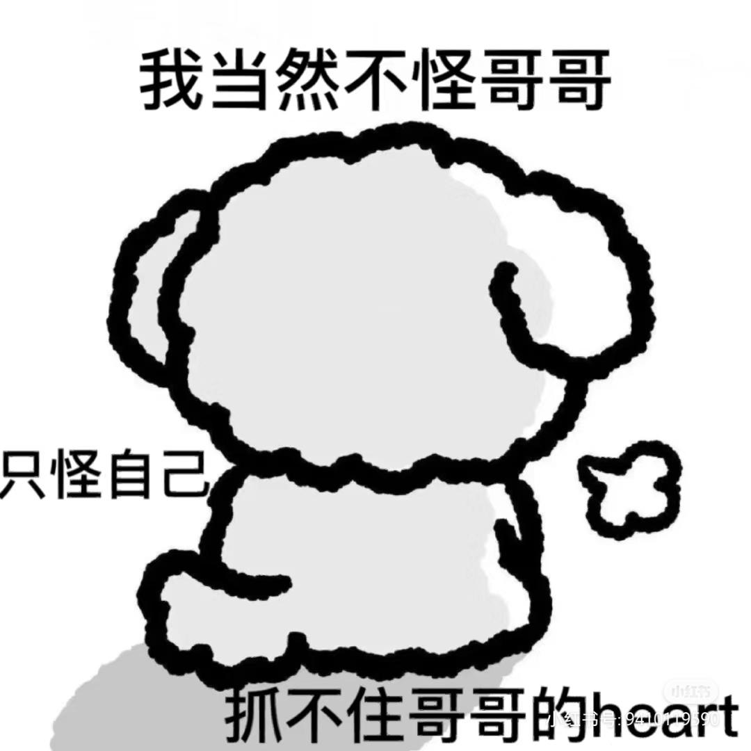 [图片]