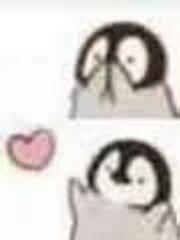 [图片]