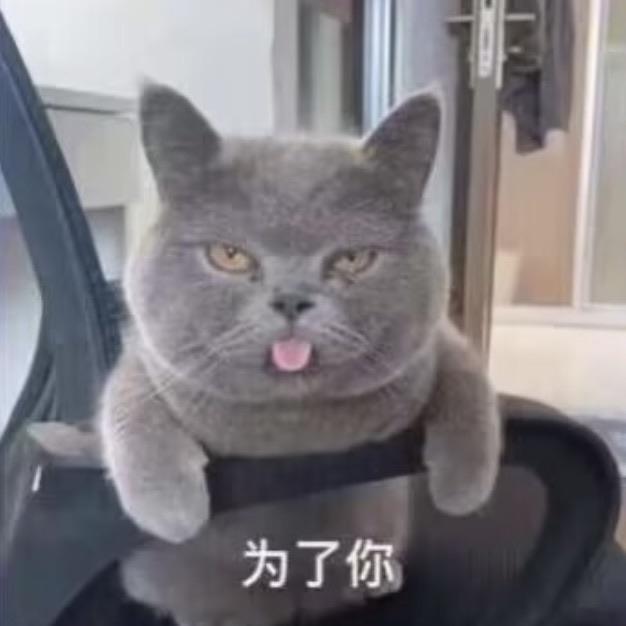 [图片]