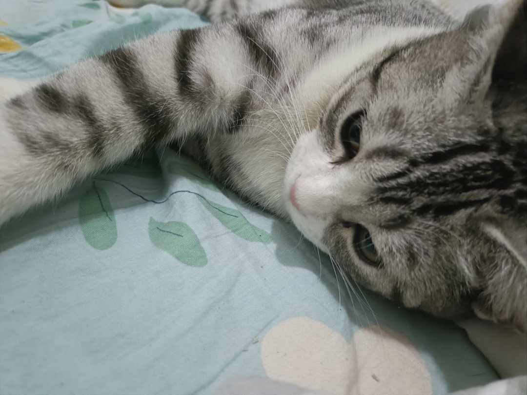 [图片]