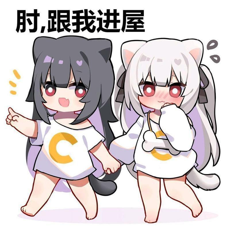 [图片]