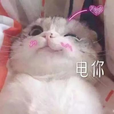 [图片]