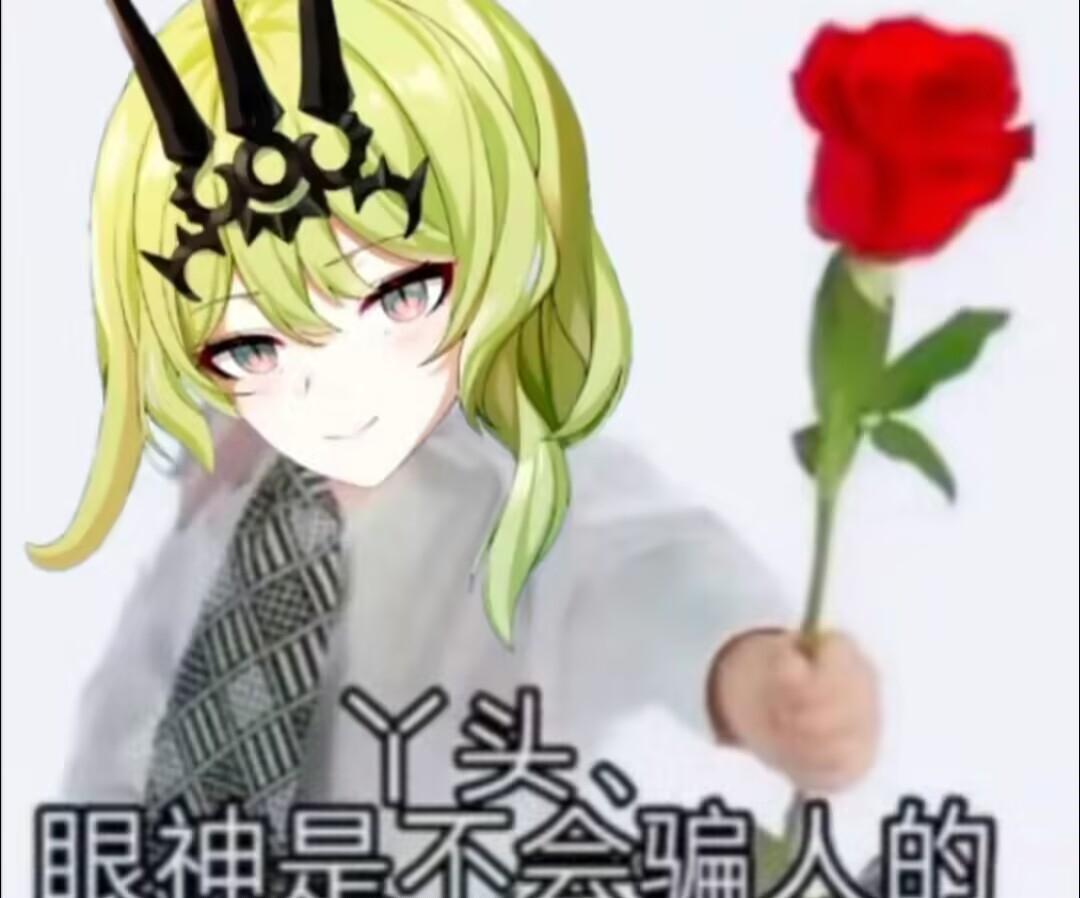 [图片]