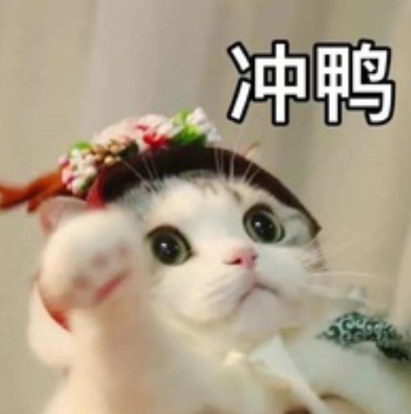 [图片]