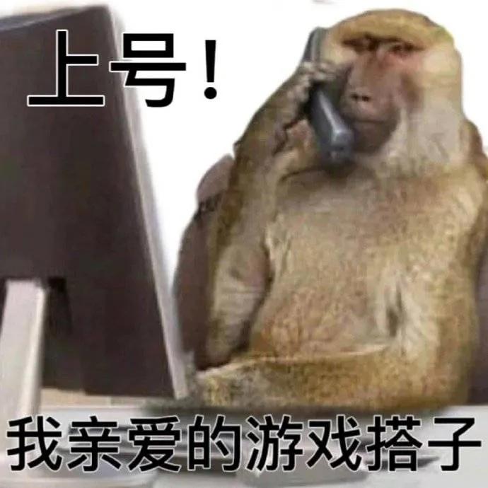 [图片]