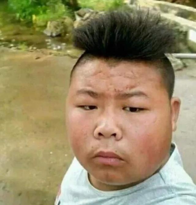 [图片]