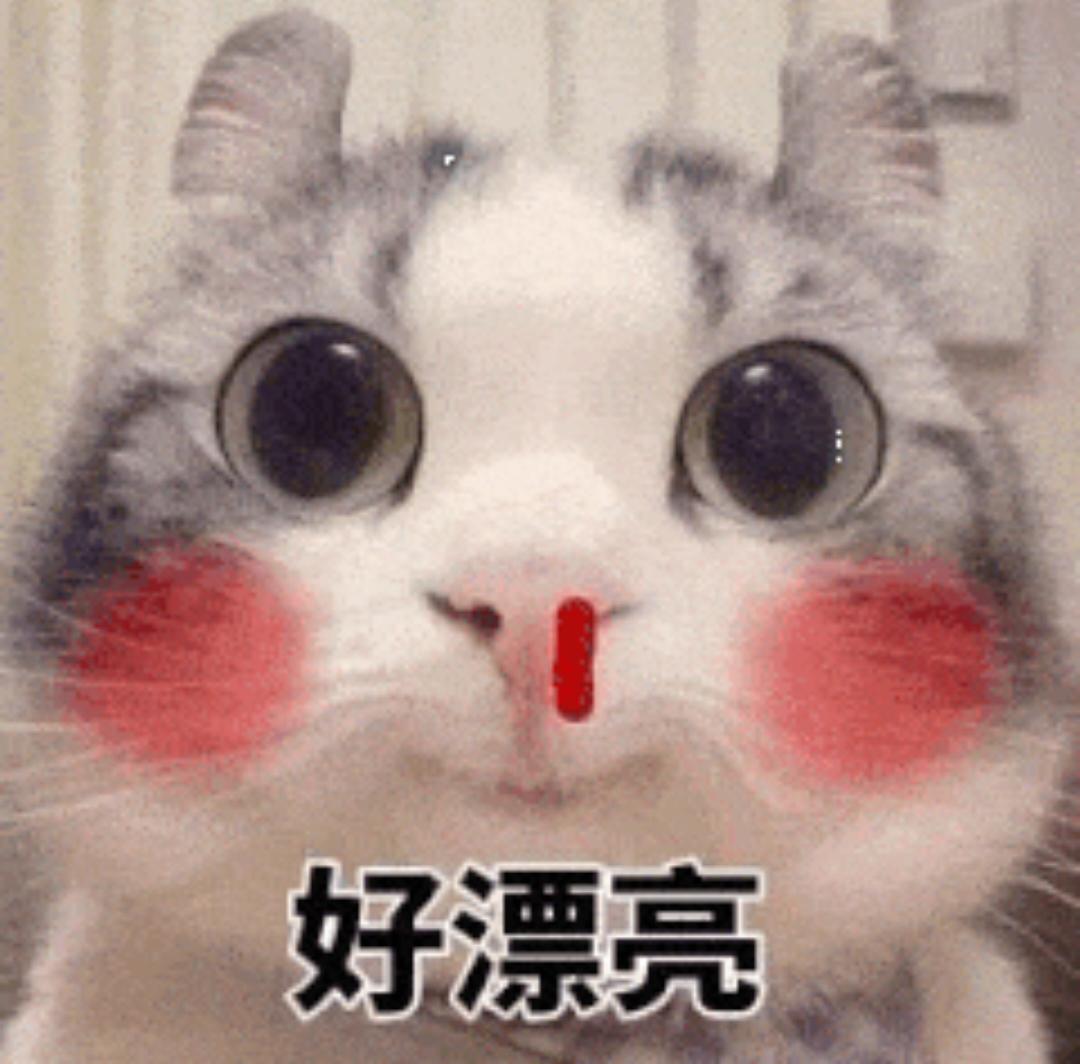 [图片]