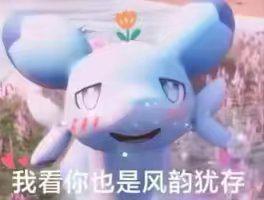 [图片]