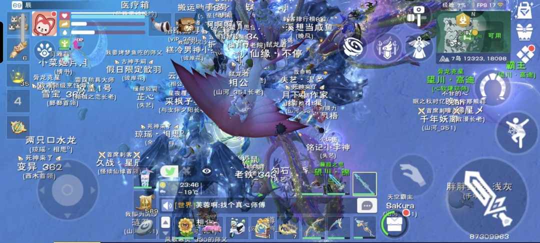 [图片]