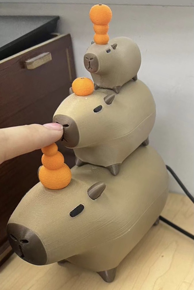 [图片]