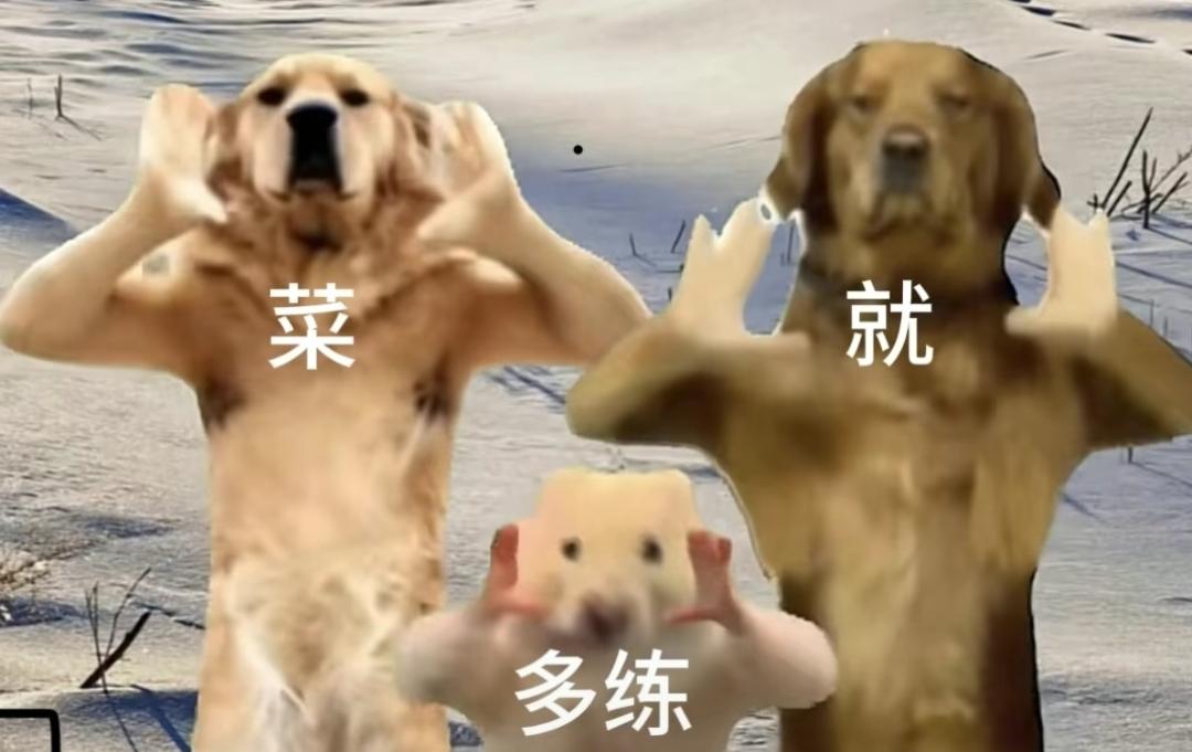[图片]