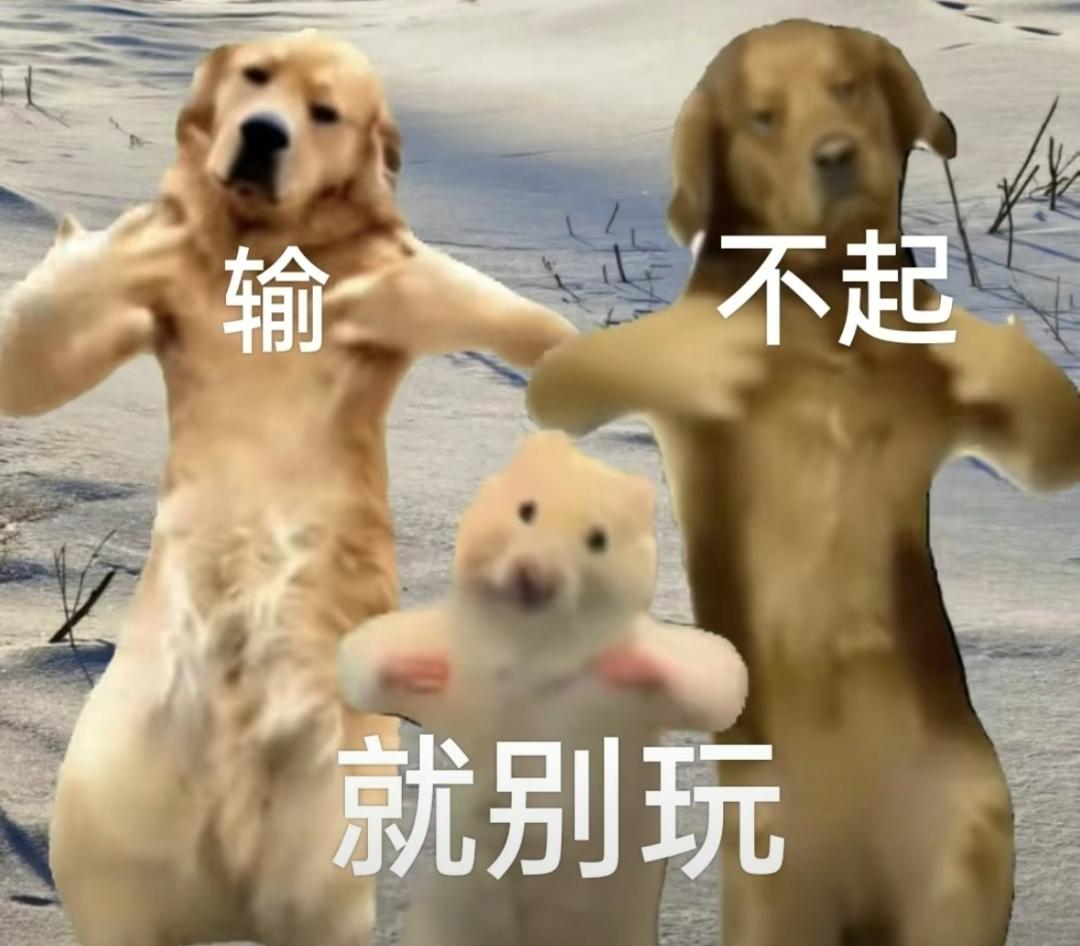 [图片]