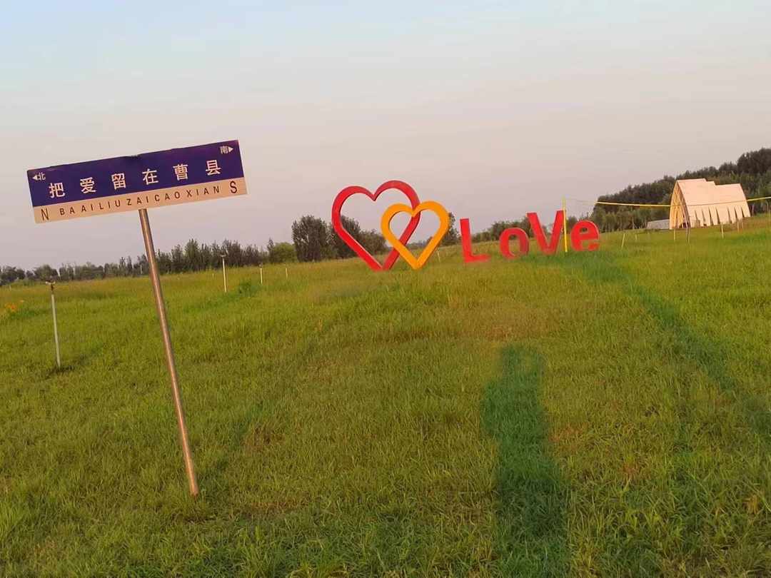 [图片]