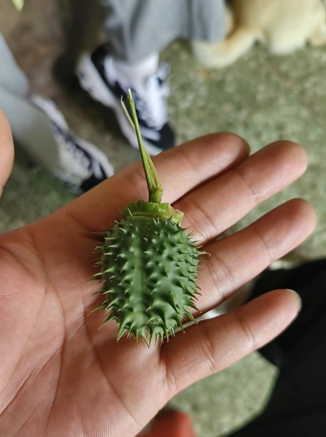 [图片]