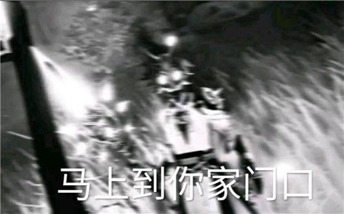 [图片]