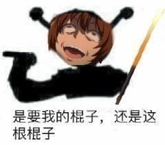 [图片]