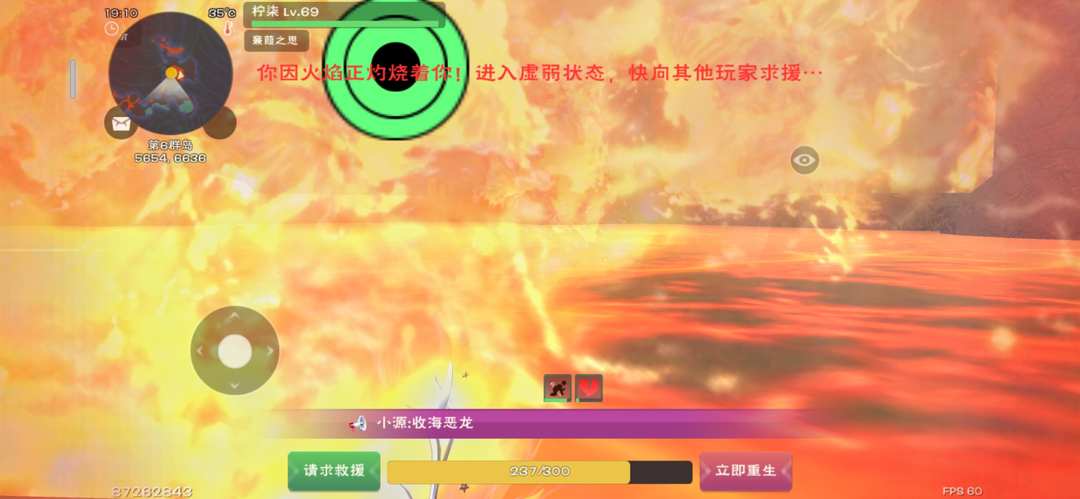 [图片]