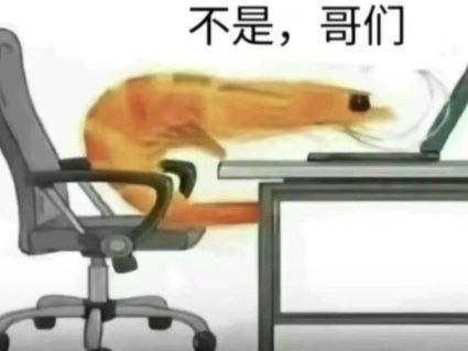 [图片]