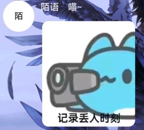 [图片]