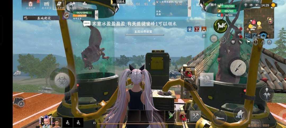 [图片]