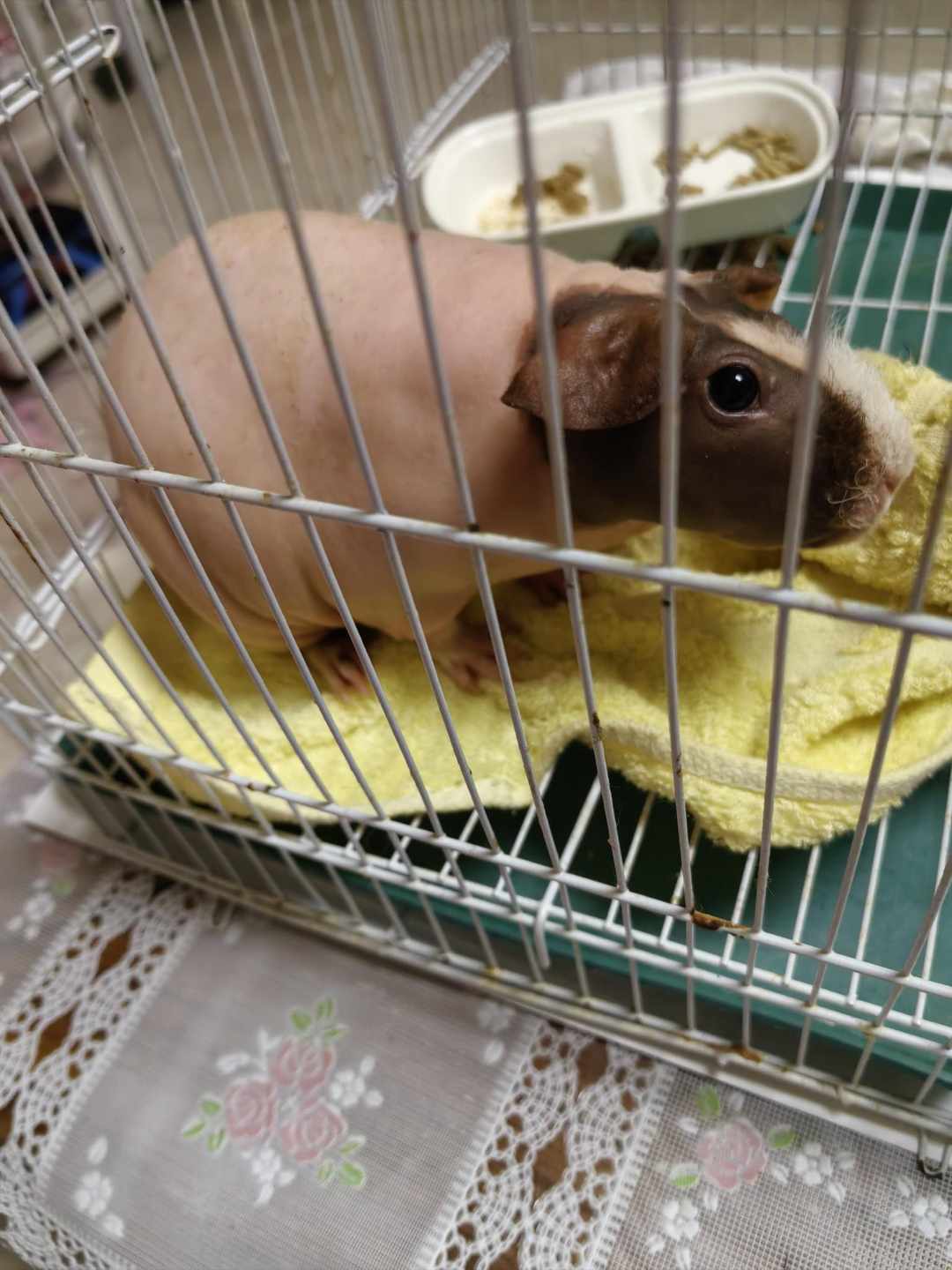 [图片]