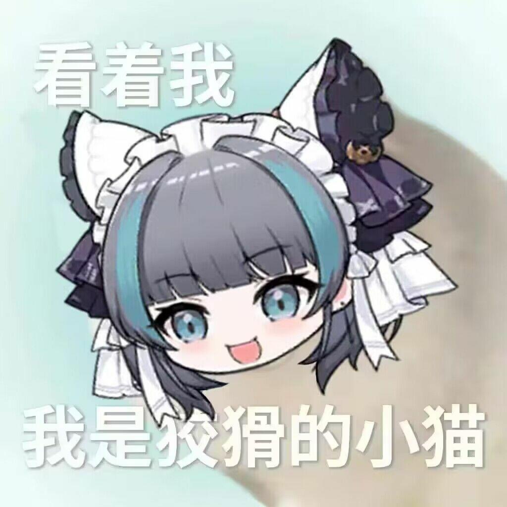 [图片]